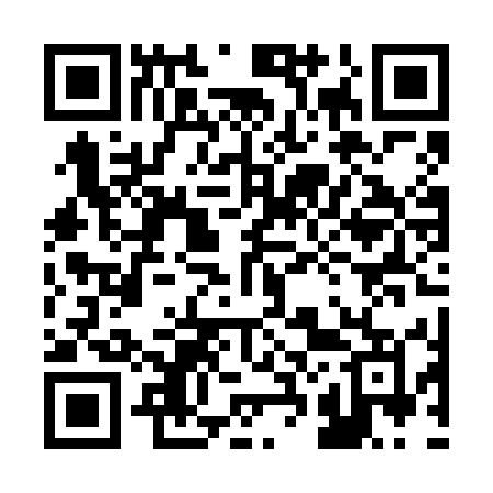 QR code for 220VEM