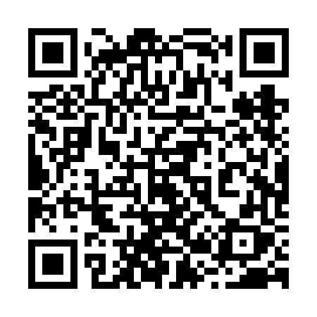 QR code for 220VFX