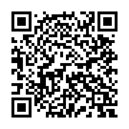 QR code for 221DPS
