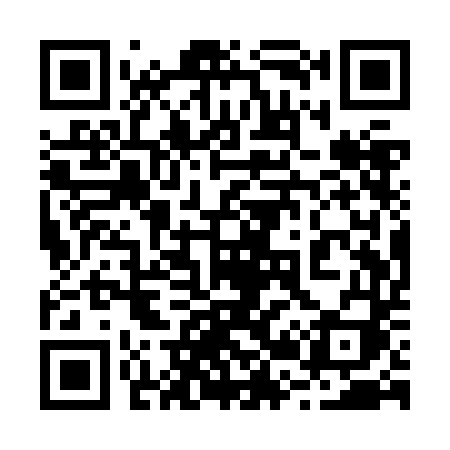 QR code for 221ZDI