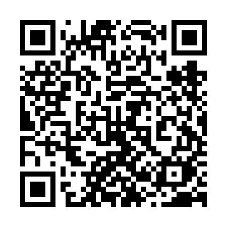 QR code for 222FEM