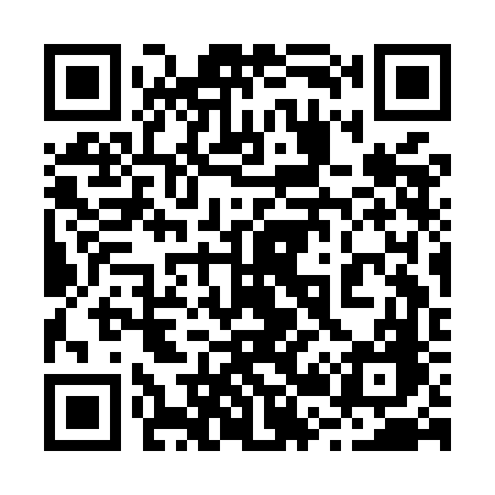 QR code for 223MFG