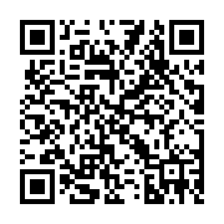 QR code for 223PPP