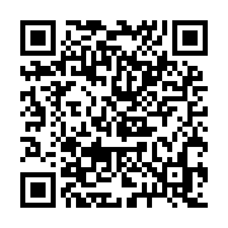 QR code for 225IBN