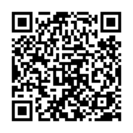 QR code for 225TCA