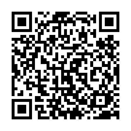 QR code for 225TCO