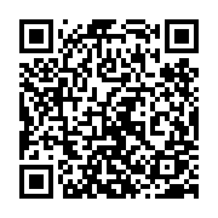 QR code for 225TMP