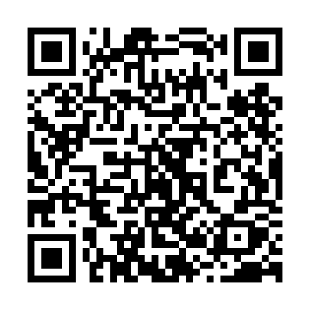 QR code for 225TOX