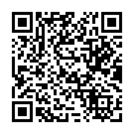 QR code for 228SMC
