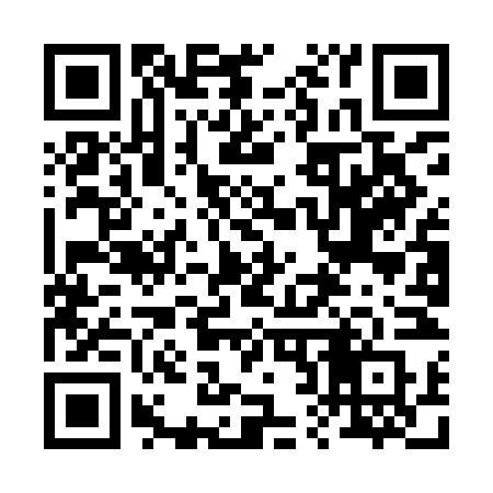 QR code for 229INR