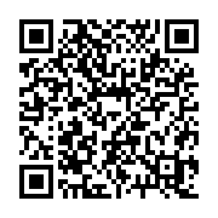 QR code for 233MGI