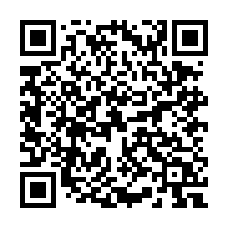QR code for 238DET