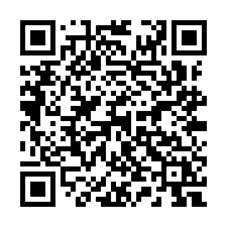 QR code for 241YEX