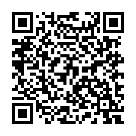 QR code for 245MIM