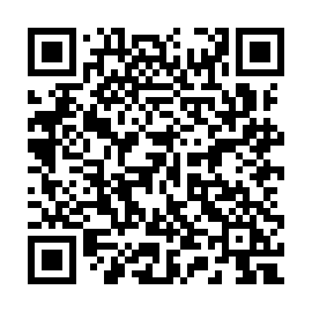 QR code for 248IDI