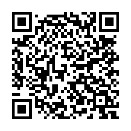 QR code for 250LVL