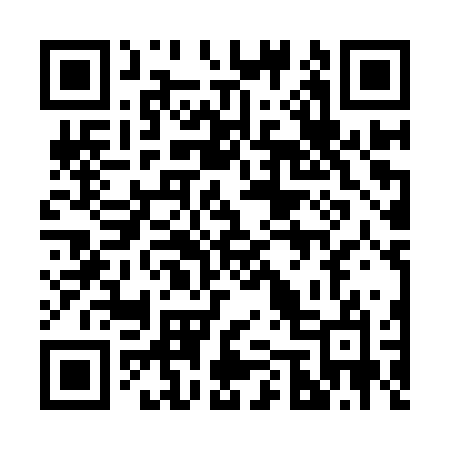 QR code for 253IRO