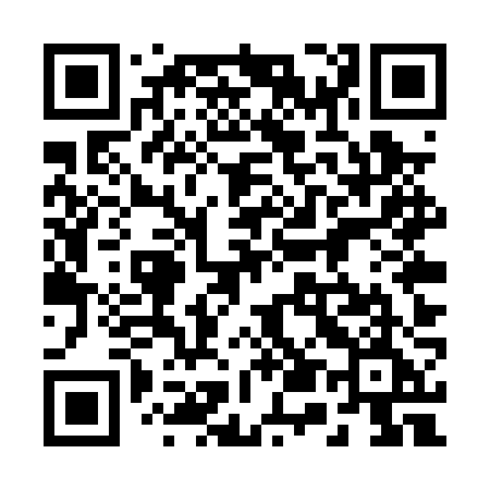QR code for 255PZE