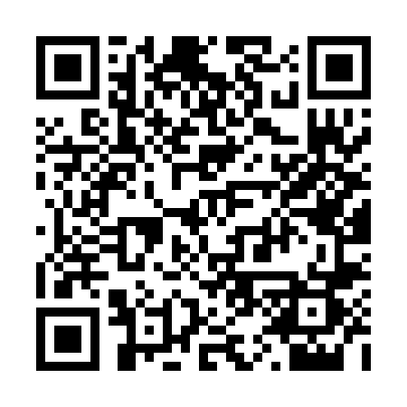 QR code for 256PNS