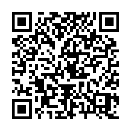 QR code for 256ZDP