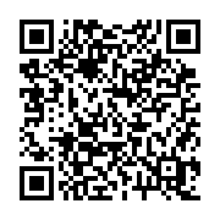 QR code for 271SGD