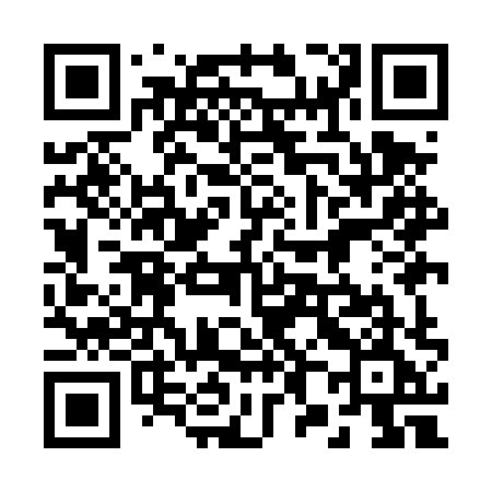 QR code for 289DXE
