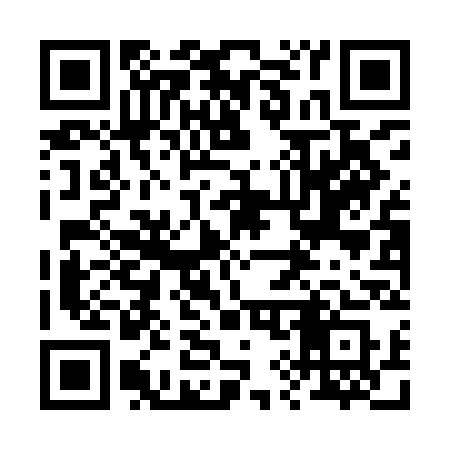 QR code for 290ICS