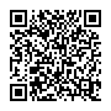 QR code for 290ISH