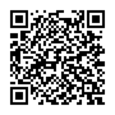 QR code for 290PAT