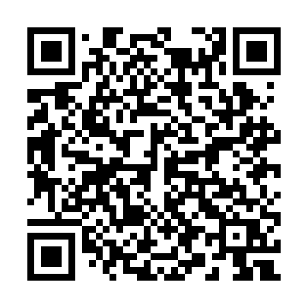 QR code for 291BER