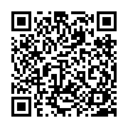 QR code for 291BGO