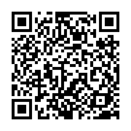 QR code for 291BZI
