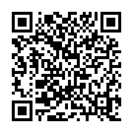 QR code for 291ICO