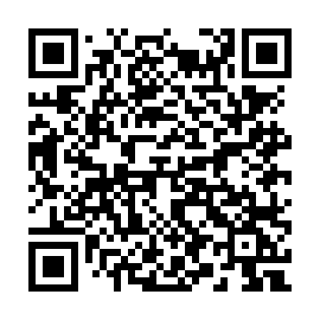 QR code for 291NLG