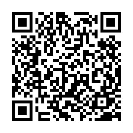 QR code for 291PET