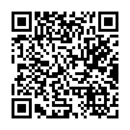 QR code for 291POO