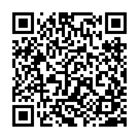 QR code for 293BIR