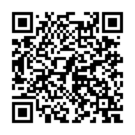 QR code for 293DAU