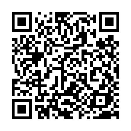 QR code for 293DZH
