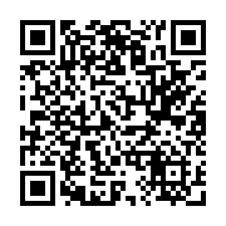 QR code for 293LPI