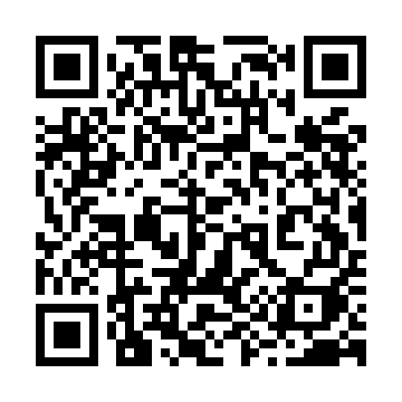QR code for 293MEI