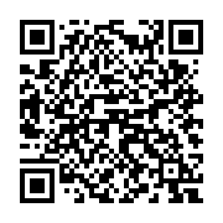 QR code for 294FSI
