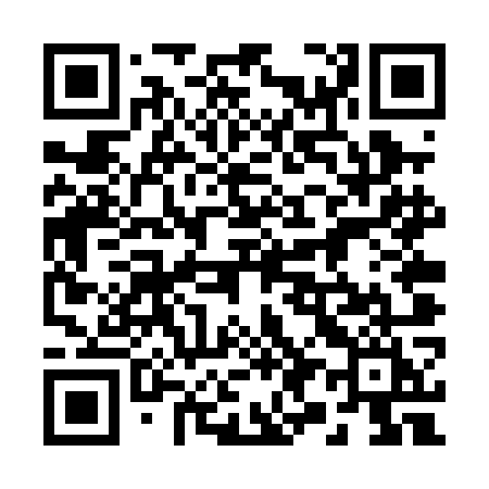 QR code for 294POI