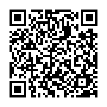 QR code for 294WSD