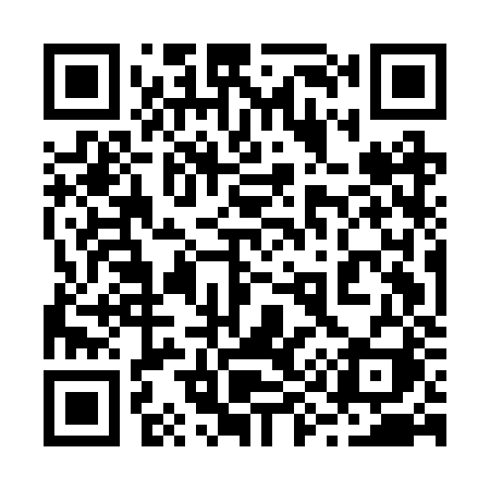QR code for 295BZI