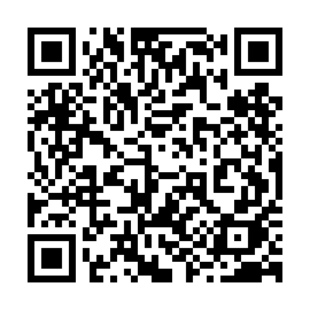 QR code for 295DEH