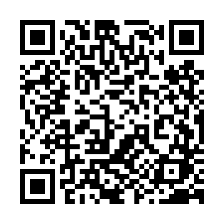 QR code for 295DTK