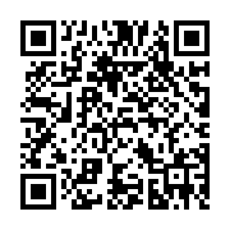 QR code for 295IXQ