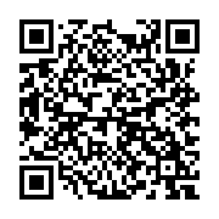 QR code for 295IZO