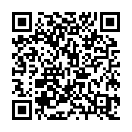 QR code for 295JZC